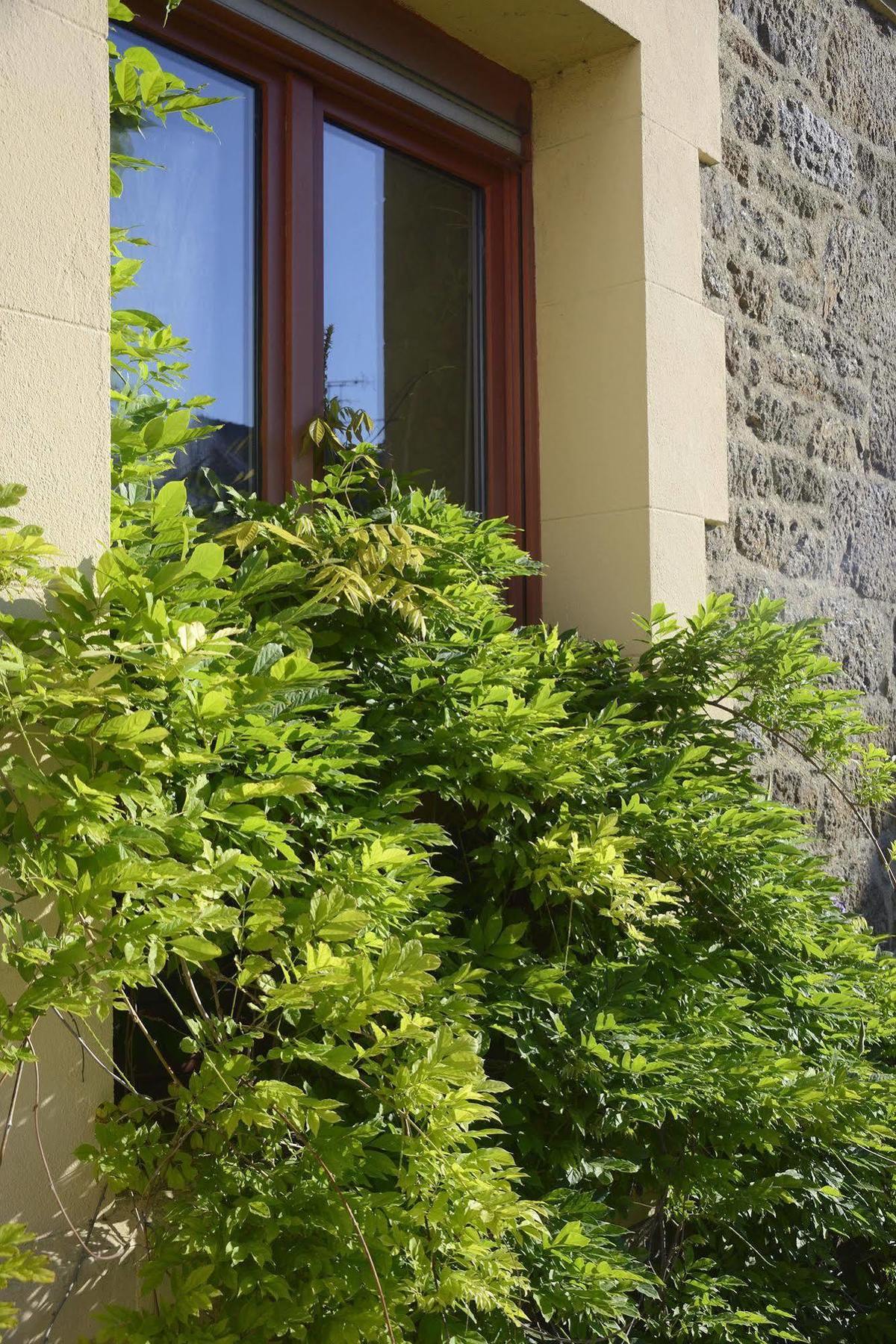 Les Charmettes Saint-Malo Exterior foto